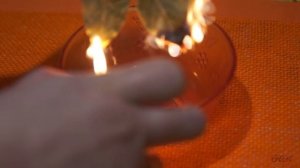 Лавровый лист как средство от тараканов