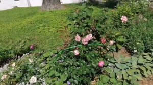 Наше путешествие в Кириллов ??? Кирилло-Белозерский монастырь ?Прекрасный день! ???