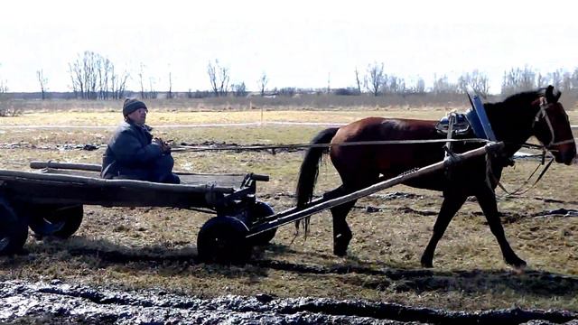 Спрут -  трофи в Ульяновске. экспресс - видео. смотреть онлайн