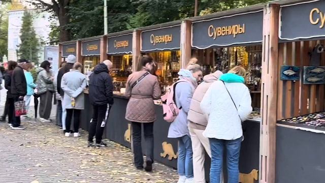 Курортный город Зеленоградск на берегу Балтийского моря, Калининградская область, 2023