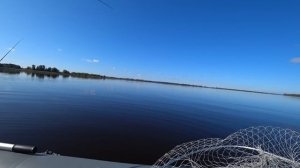 Троллинг . Обзор, тест воблеров Luremax.  Учусь ловить на два спиннинга.:)