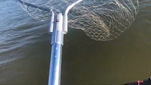 Первый САЗАН на реке Обь / Рыбалка на САЗАНА.