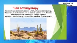 6 класс - КГ - Биология - №3 - Жаратылыш адам жана  өсүмдүктөр дүйнөсү.