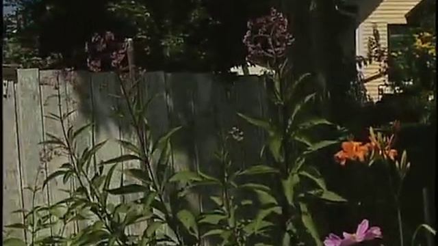 Cottage Garden смотреть онлайн