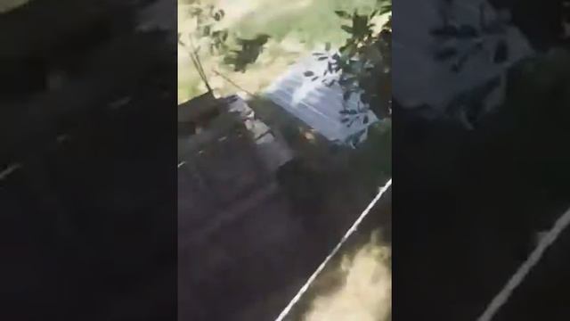 Челанж у Ани дома смотреть онлайн