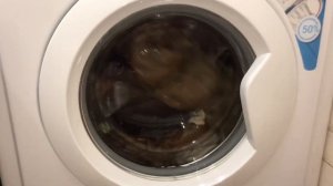 Стирка тёмно-цветного/Indesit IWUD4105/Хлопок бережный 40,1000,EcoTime