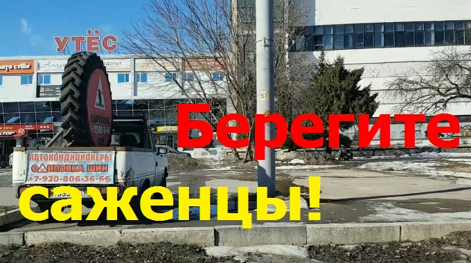 Тц утес. ТЦ Утес Орел. Нива на улице.