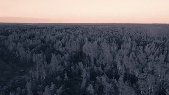 25 мая 2022 г. смотреть онлайн