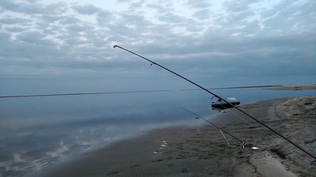 Ловим камбалу в прибрежье белого моря май 2019 смотреть онлайн