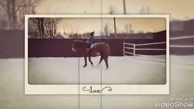 Конный клуб "Фартовый" г.Бологое Тверская обл. смотреть онлайн