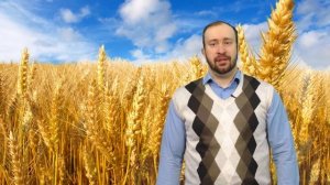 Промо видео "Качество зерна пшеницы и продуктов его переработки"