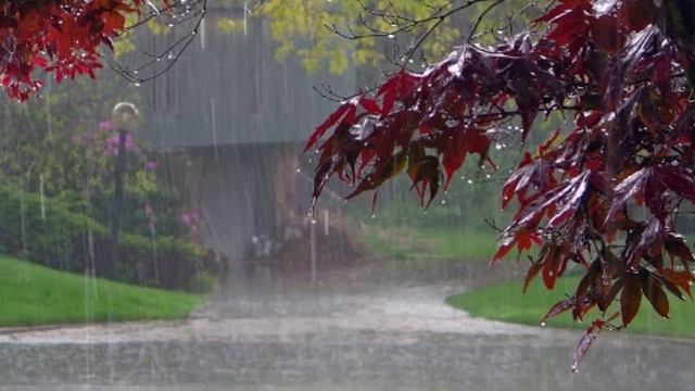 🧠 МИЫҢЫЗ ҚАНШАЛЫҚТЫ ДАМЫҒАН? | ДЕҢГЕЙІҢІЗДІ АНЫҚТАЙТЫН 6 ЖАТТЫҒУ #ми #жаттығу смотреть онлайн