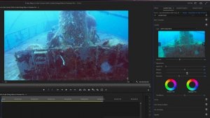 FIX THIS! 3 EASY Ways to Color Correct UNDERWATER Video in Premiere Pro