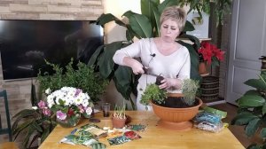ДЕКОРАТИВНЫЙ ОГОРОД НА ПОДОКОННИКЕ!!! ТАКОГО НЕ ДЕЛАЛ ЕЩЕ НИКТО DIY / Садовый гид