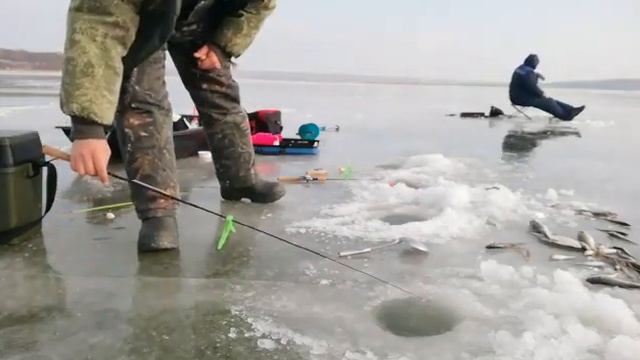 Тавричанка.Ловля наваги и камбалы.