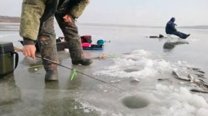 Тавричанка.Ловля наваги и камбалы.