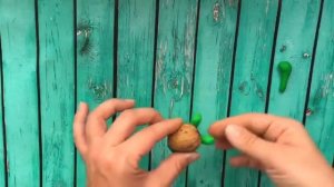 Черепаха из ГРЕЦКОГО ОРЕХА за 5 МИНУТ | Легкая поделка