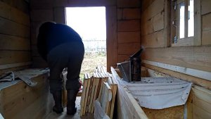 Апидомик, отбор мёда. Владимирский улей лежак Илья-Муромец. Около 80 кг.