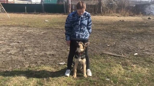 ВЕО Луна, 4 месяца смотреть онлайн