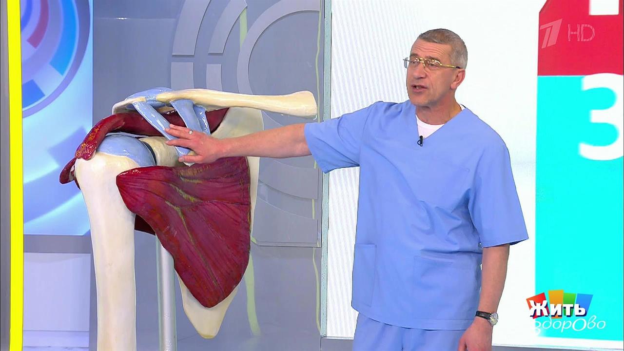 Боль в плече. Жить здорово! Фрагмент выпуска от 04.12.2018 смотреть онлайн