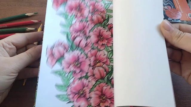?РАСКРАШЕННЫЕ РАБОТЫ В РАСКРАСКАХ АНТИСТРЕСС!? ДЕВОЧКА АКУЛА!? #рисуем #бумажныекуклы #gawrguru