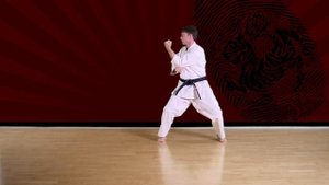 Tekki Shodan - Shotokan Karate-Do JKA