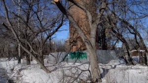 Дом на Шарташе по улице Проезжая 157 в Екатеринбурге