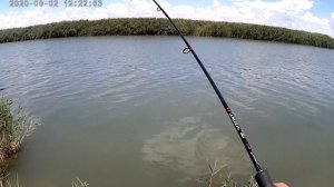 Рыбалка на реке Маныч. 2 часть!