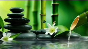 Soothing Relaxation: Relaxing Piano Music, Sleep Music, Water Sounds, Relaxing Music, Meditation