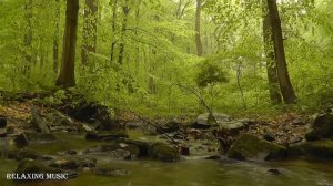 Звук Ручья И Пение Птиц Под Музыку Фортепиано / Музыка Для Сна.