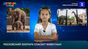 Самые позитивные новости лета 2024