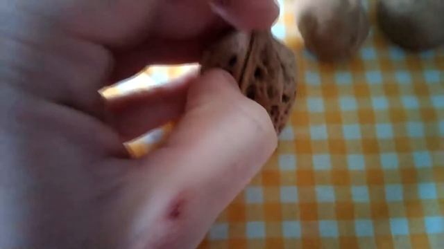 грецкий орех, польза перегородок грецкого ореха [моя покупка]