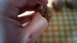 грецкий орех, польза перегородок грецкого ореха [моя покупка]