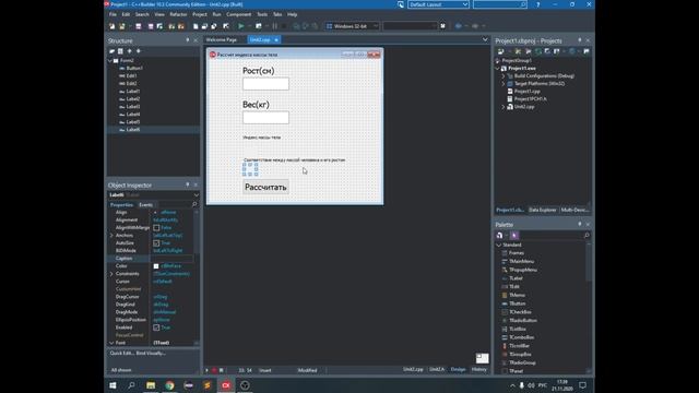 Урок№1 - Расчет индекса массы тела: C++ builder смотреть онлайн