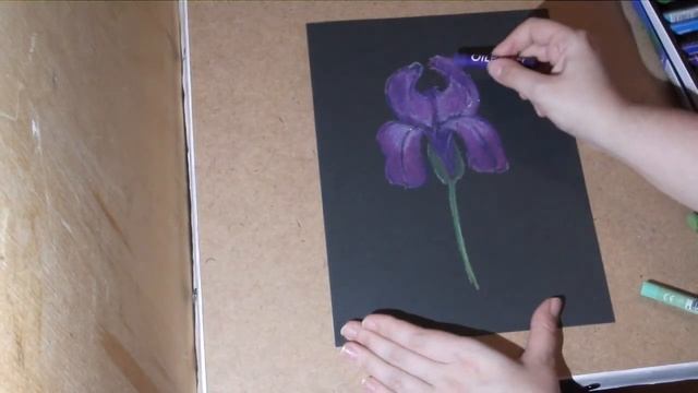Масляная пастель. Рисуем цветок: ирис на тонированной бумаге смотреть онлайн