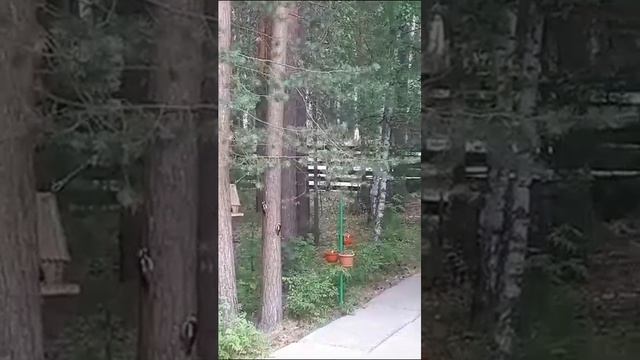 Заботливая мама.
