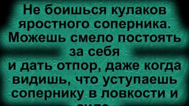 Избавляю от Страха Перед Дракой! смотреть онлайн