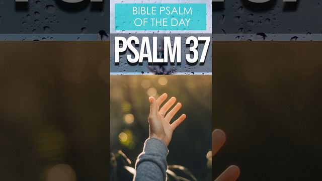 Psalm 37 (Peaceful Scriptures Bible verses for sleep with God's Word ON)