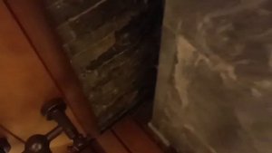 Обзор парилки из термо ольхи