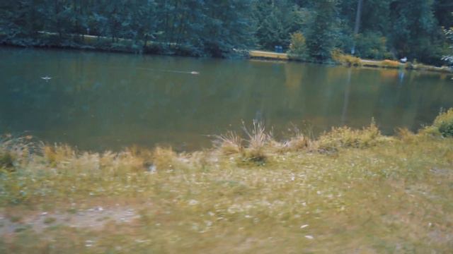 Sir Anemone - I'm going to run away смотреть онлайн