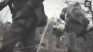 война сво