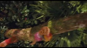 Анатолий Днепров   Я Приглашаю В Круг