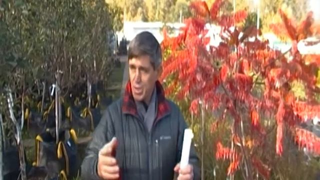 Совет агронома. Осенний полив растений! смотреть онлайн