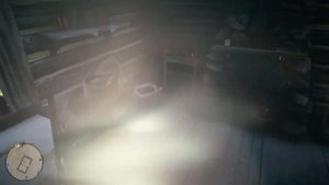 ГДЕ НАЙТИ КАРМАННОЕ ЗЕРКАЛО ДЛЯ МОЛЛИ? (RED DED REDEMPTION 2)