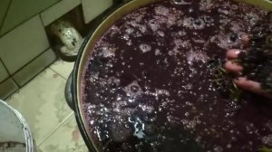 Производство вина в домашних условиях
