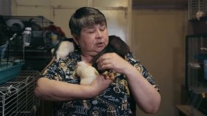 В моей квартире живут 120 крыс. Крысиная мама.