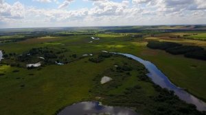 Река Савала. Воронежская область