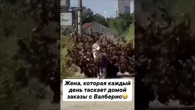 Все в дом!