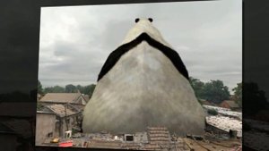 ТОП Самых гигантских животных, самые большие животные в мире