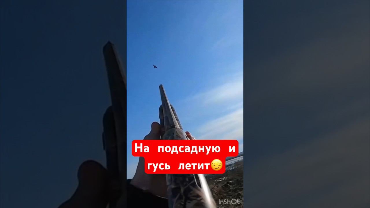 Выстрел 3кой по гусю#охота #охотанагуся #весенняяохота  #охотанауток #охотавидео #shorts